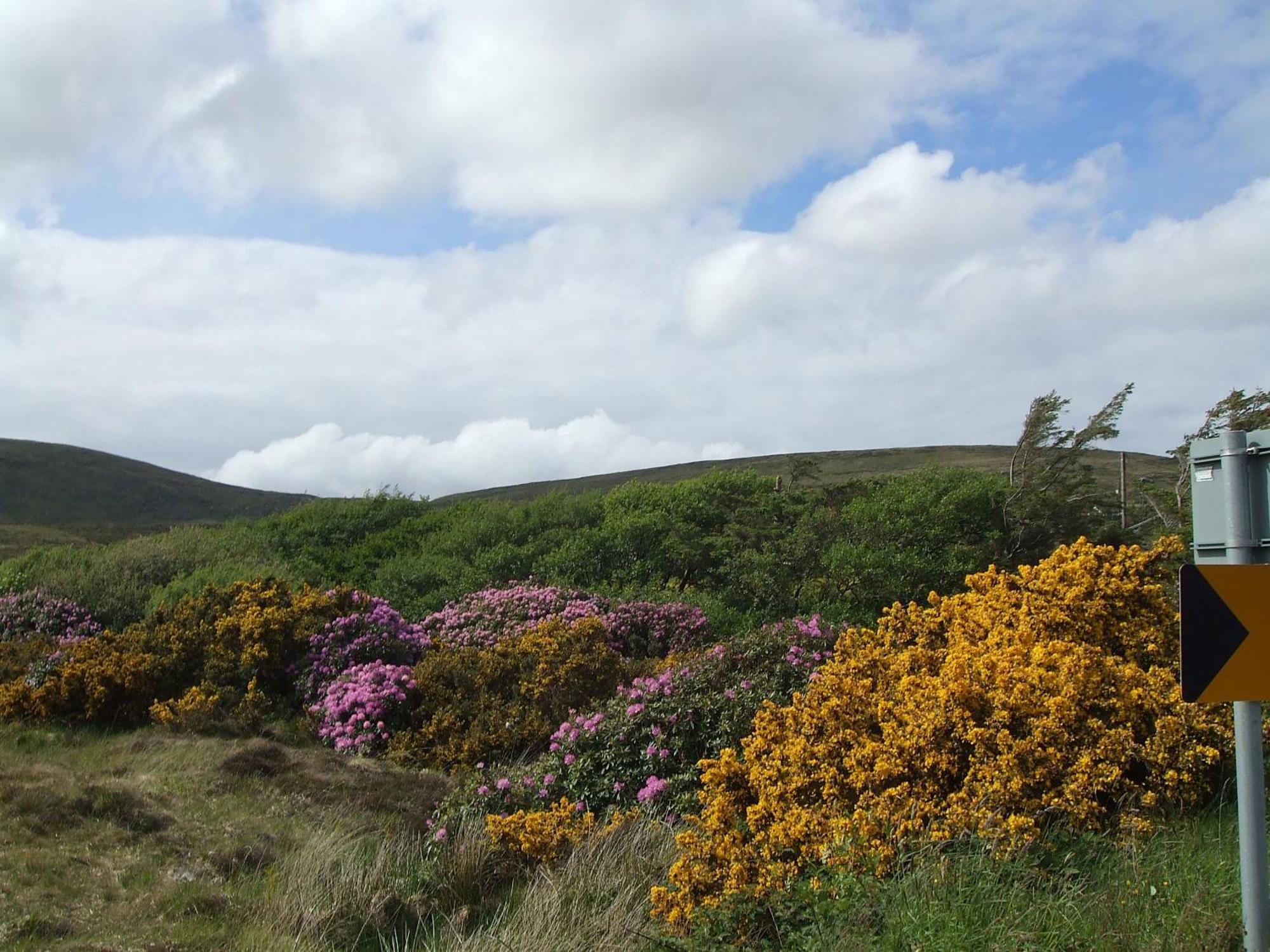 Achill Cliff House Hotel & Restaurant Keel  Esterno foto